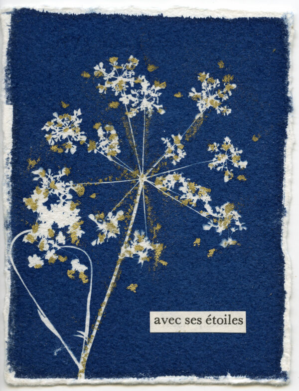 Avec ses étoiles