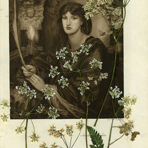 A la tombée de la nuit